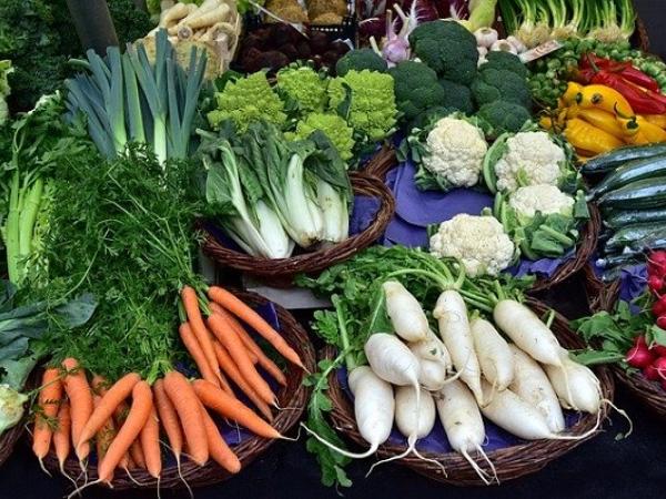 Auswahl verschiederner Gemüsesorten wie beispielsweise Karotten, Rettich und Blumenkohl