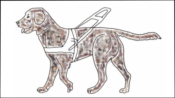Zeichnung eines Blindenhundes mit weißem Führgeschirr